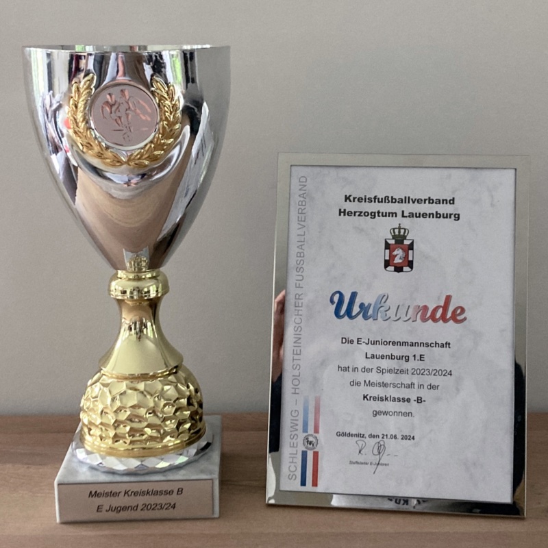 Pokalsieger LSV-Jungs1